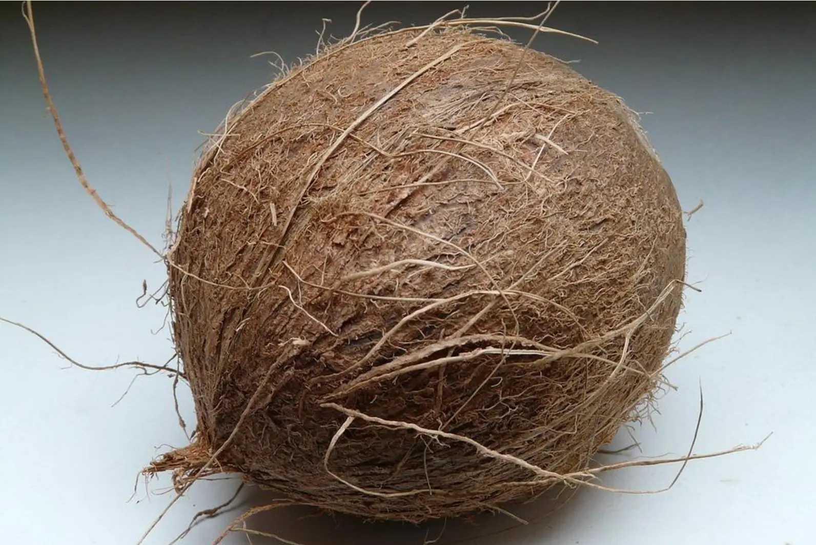 Quiz image