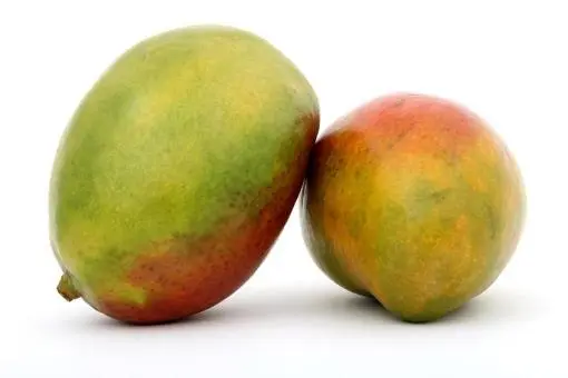Quiz image