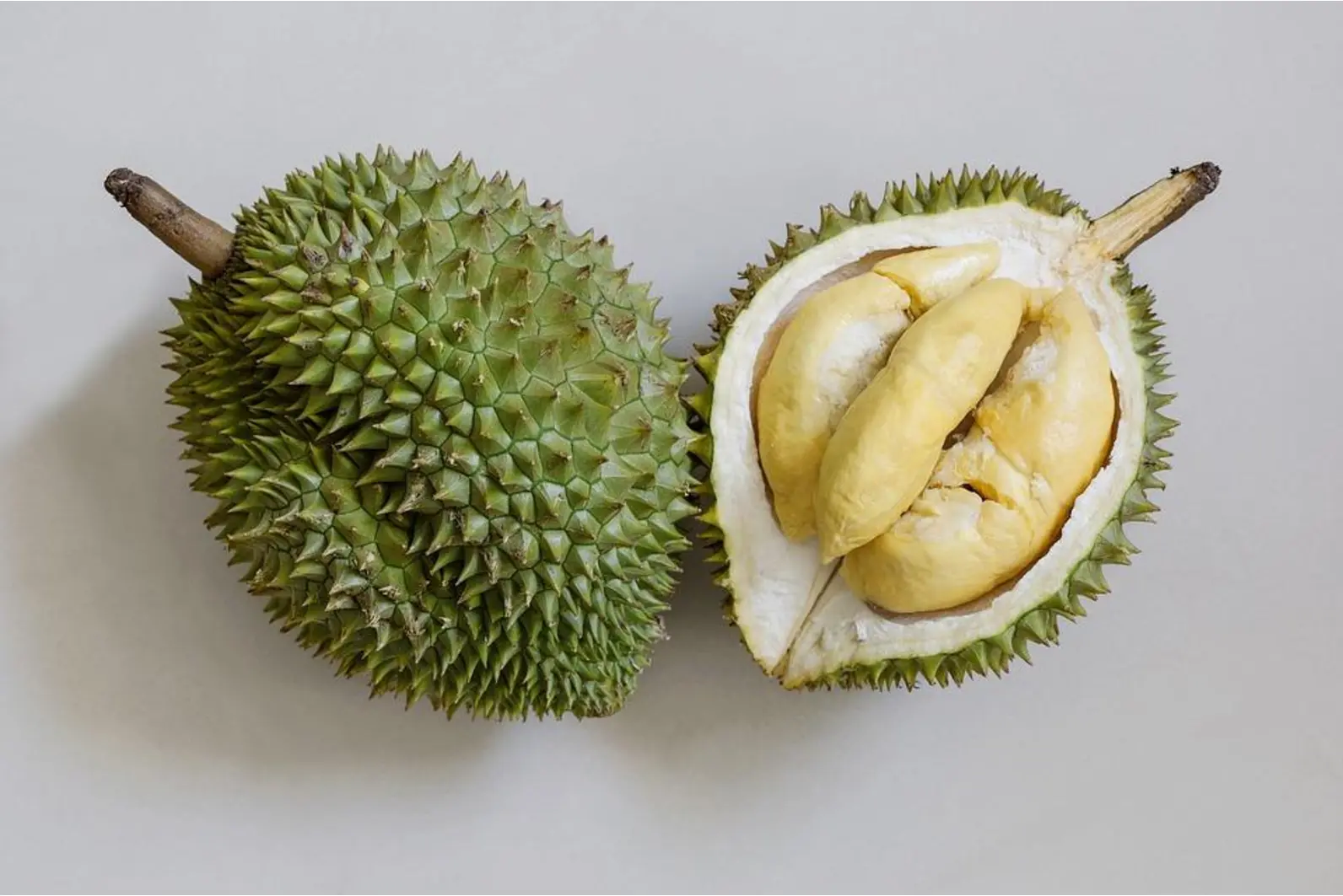 Quiz image