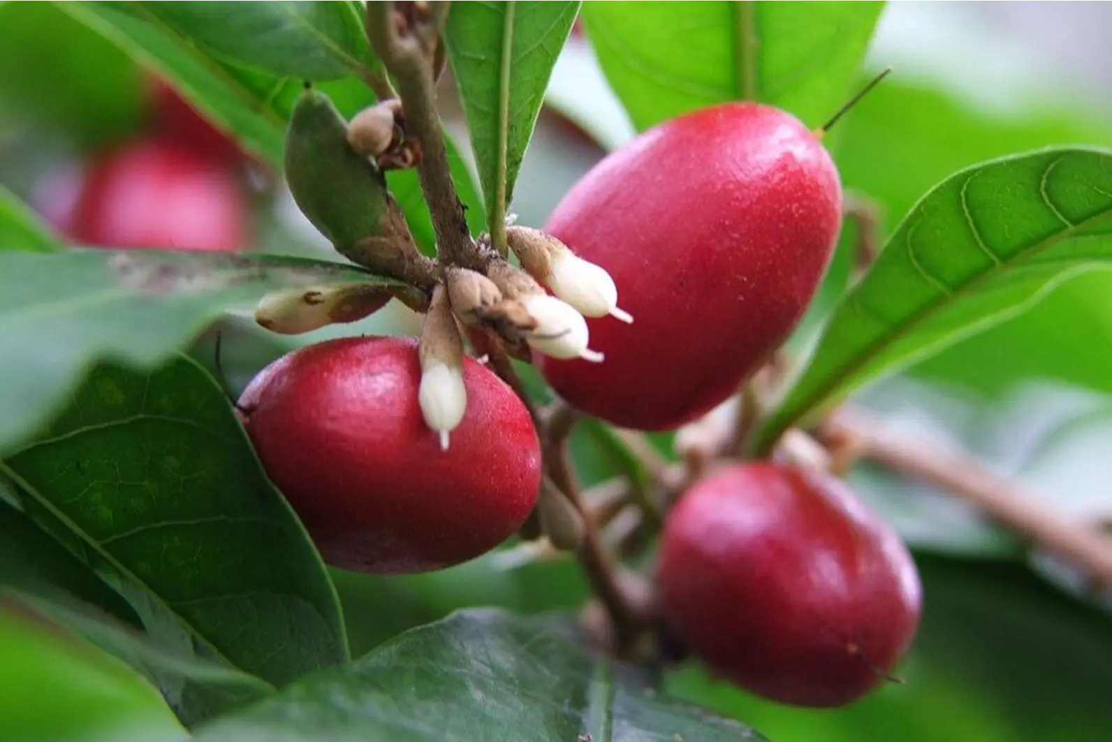 Quiz image