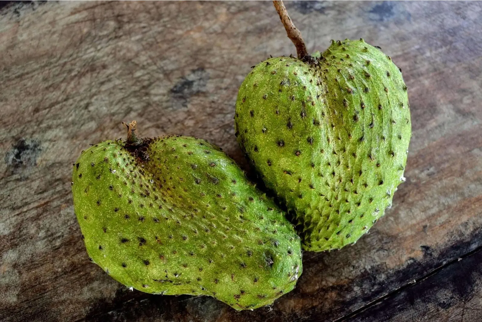 Quiz image