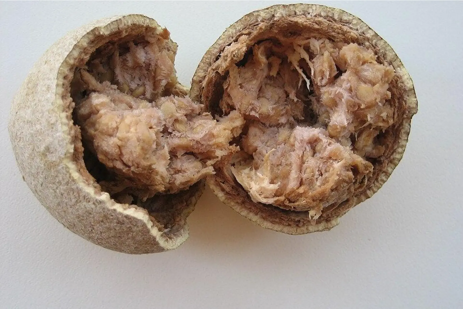 Quiz image