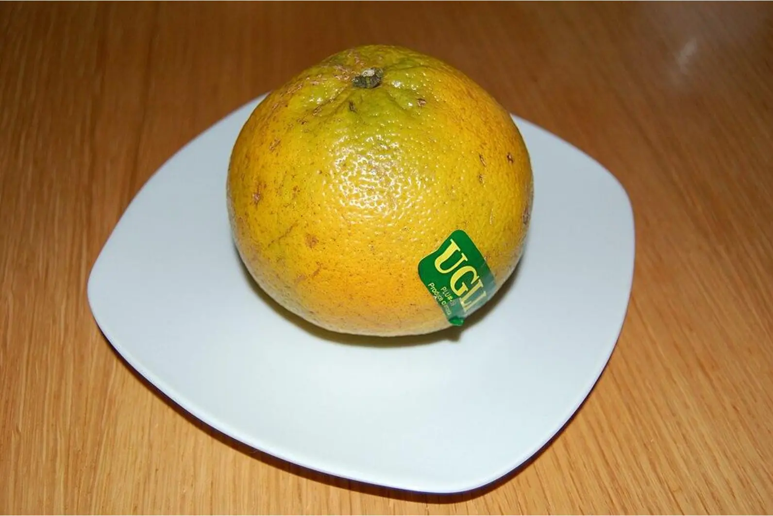 Quiz image