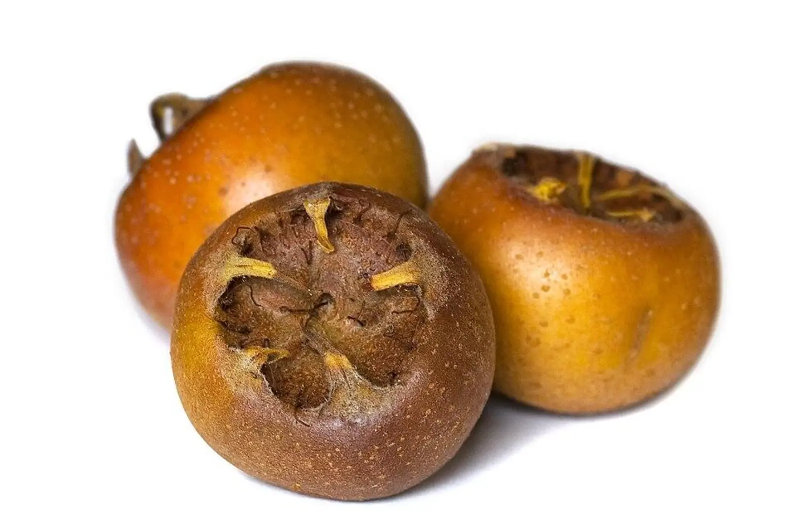 Quiz image