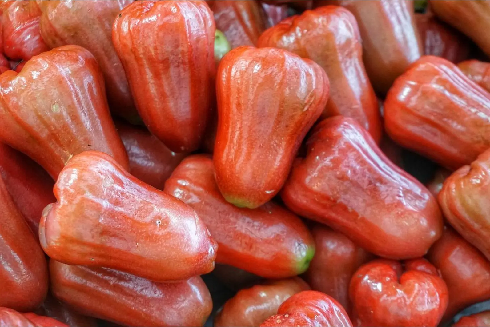 Quiz image