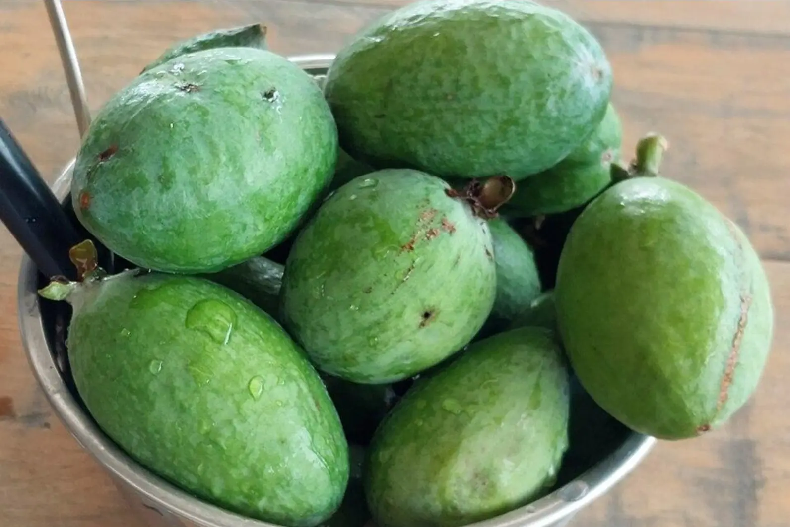 Quiz image