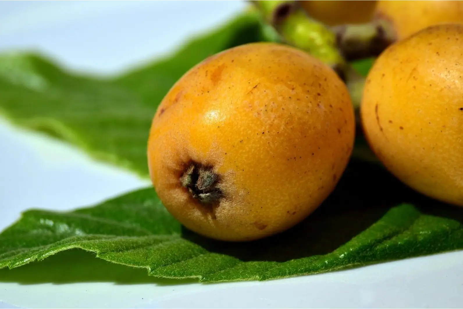 Quiz image