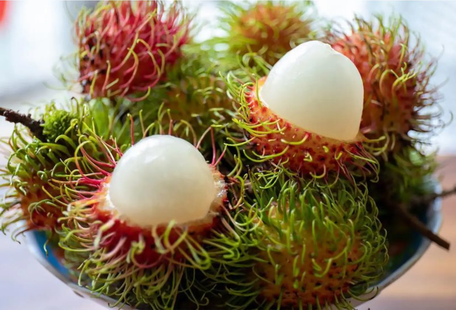 Quiz image