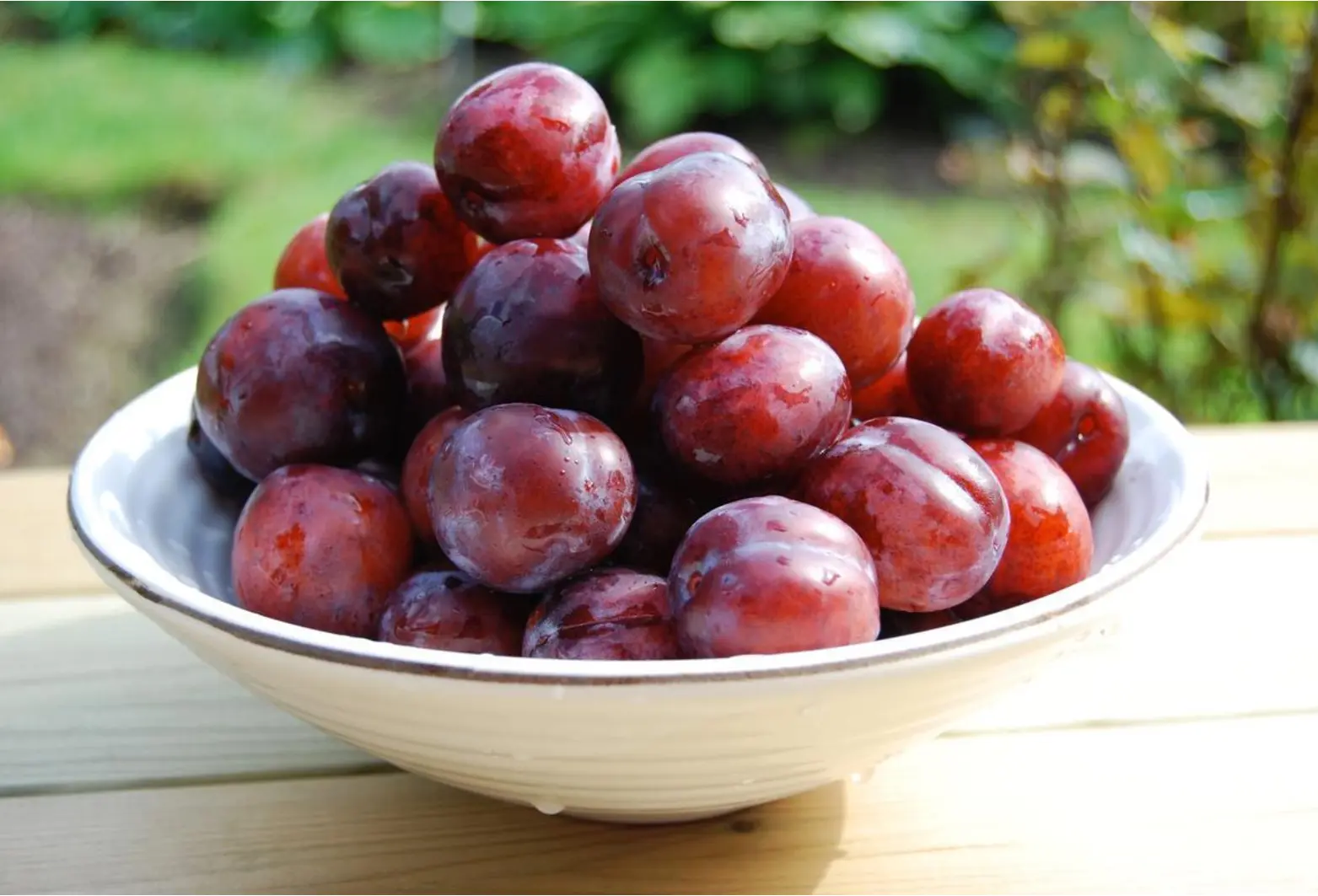 Plum image